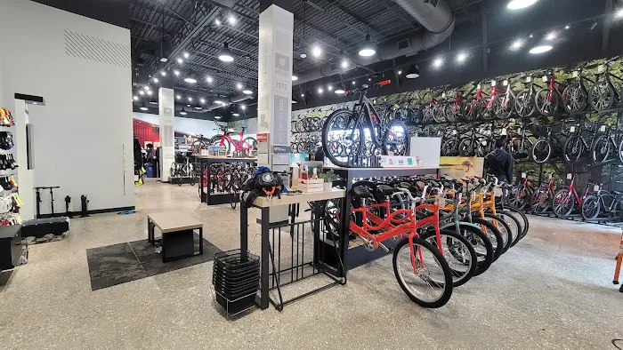 Trek Bicycle Elmwood Picture 1