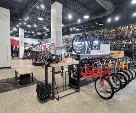 Trek Bicycle Elmwood