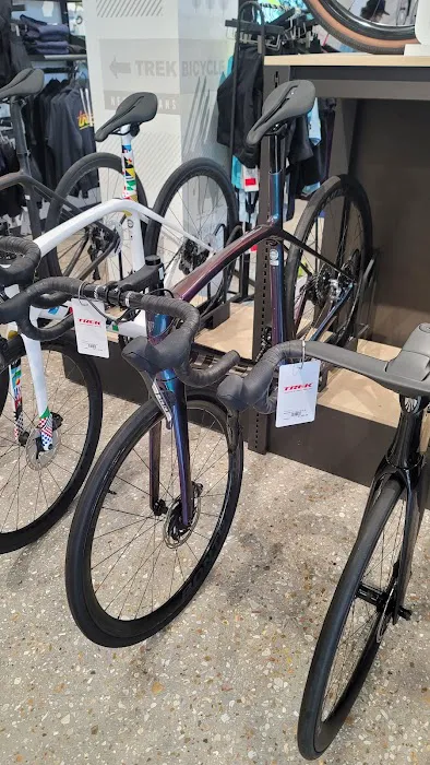 Trek Bicycle Elmwood Picture 9