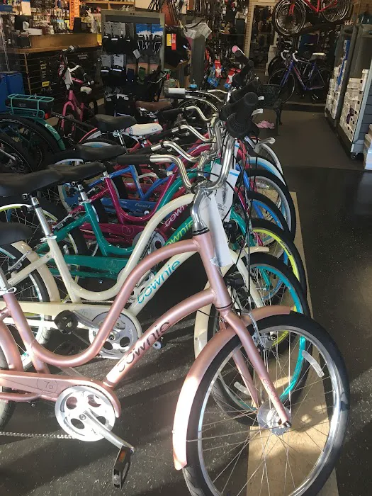 Eastbank Cyclery Picture 4