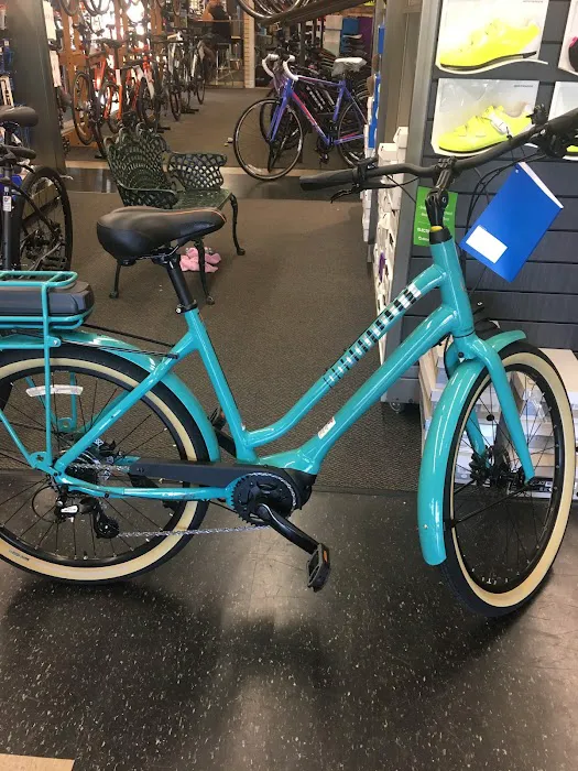Eastbank Cyclery Picture 7