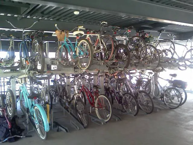 Pedal Movement Picture 4