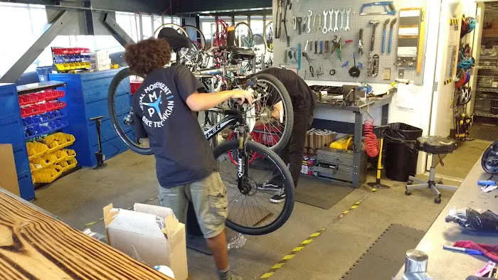 Pedal Movement Picture 6