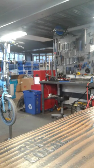Pedal Movement Picture 10