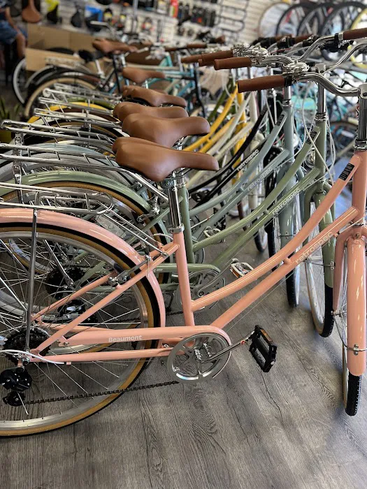 Bike Your Way Picture 2