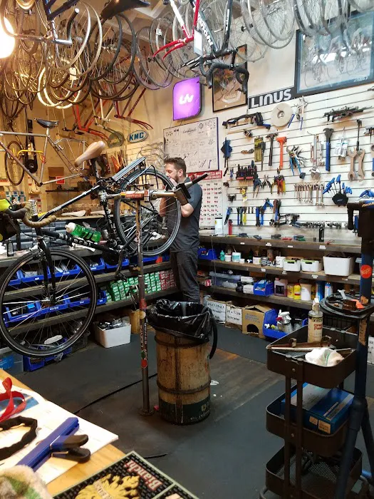 The Bicycle Stand Picture 2