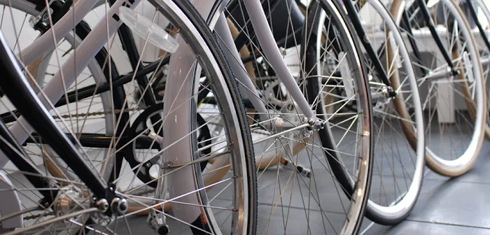 The Bicycle Stand Picture 3