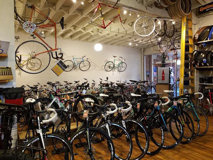 The Bicycle Stand Picture 6