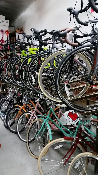 Plenty of Bikes Picture 6