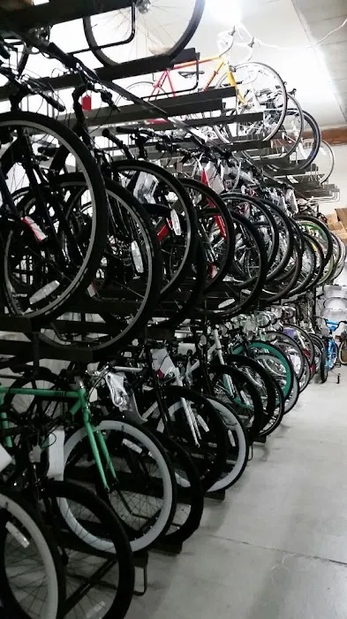 Plenty of Bikes Picture 10