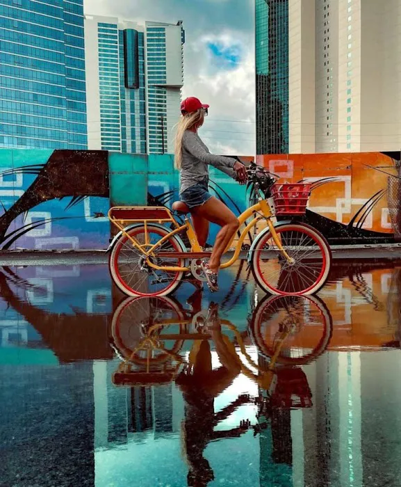 The Kit E-Bikes Picture 5