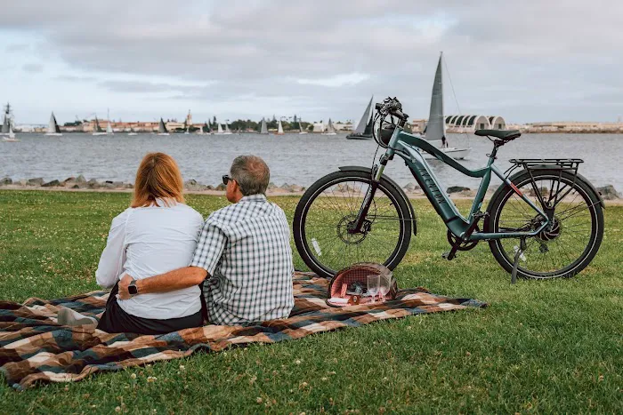 The Kit E-Bikes Picture 10