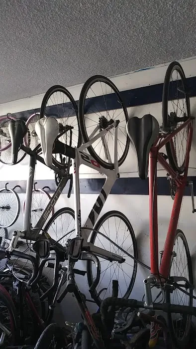 Pacific Cycles Picture 6