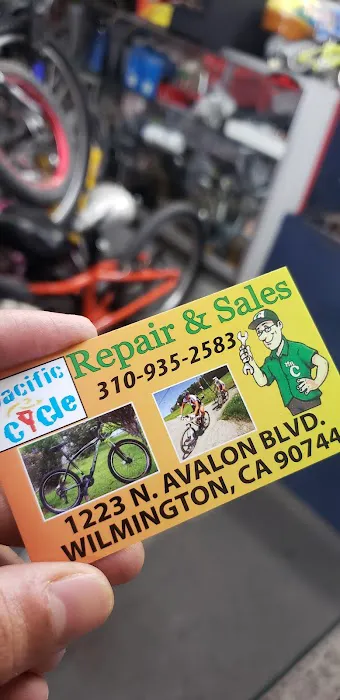 Pacific Cycles Picture 8
