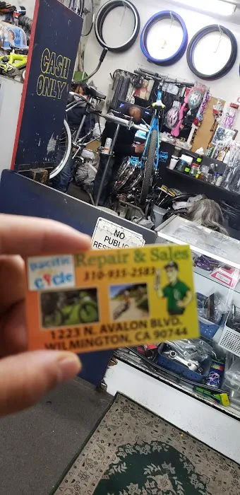 Pacific Cycles Picture 7