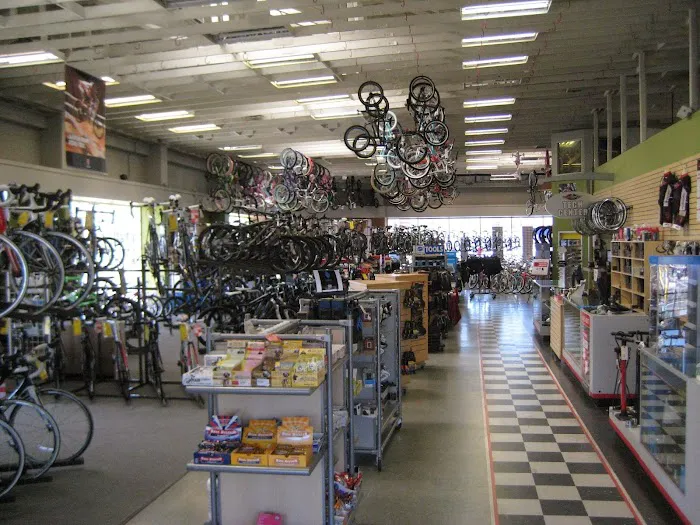Jax Bicycle Center Picture 2