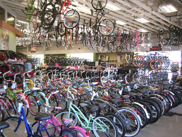 Jax Bicycle Center Picture 4