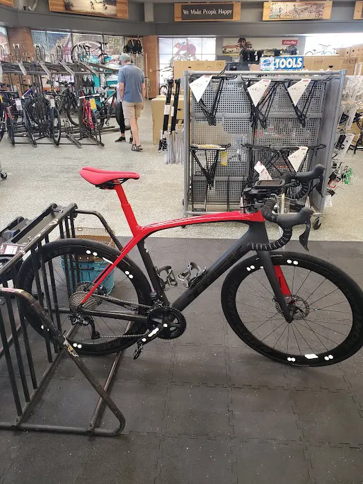 Jax Bicycle Center Picture 6