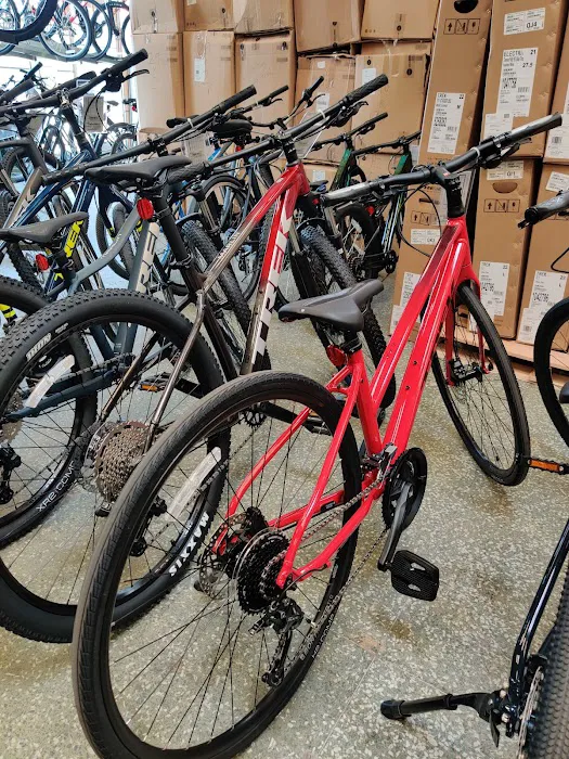 Jax Bicycle Center Picture 5