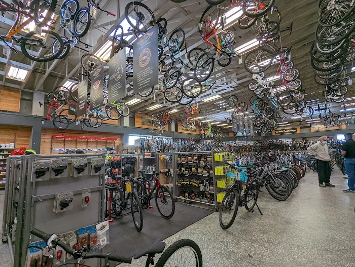 Jax Bicycle Center Picture 8