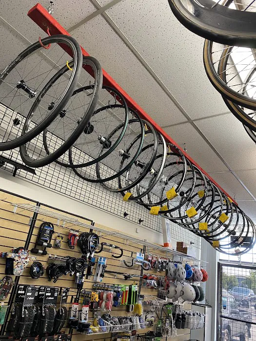Vince's Cyclery Picture 10