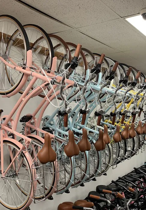Frank's Bicycles Picture 8