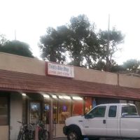 Twins Bike Shop ico