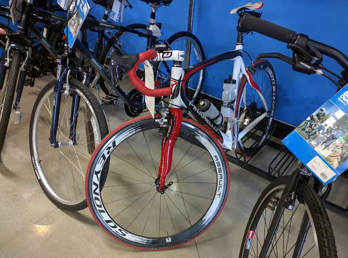 Smith's Cycle Picture 2