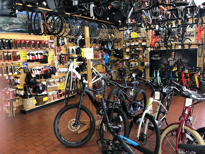 The Bike Palace Picture 3