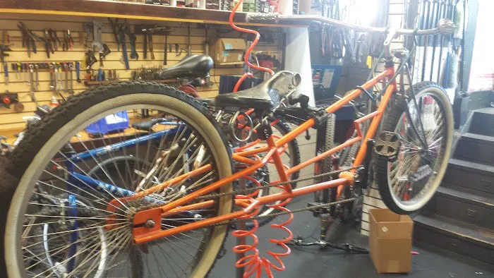 The Bike Palace Picture 2