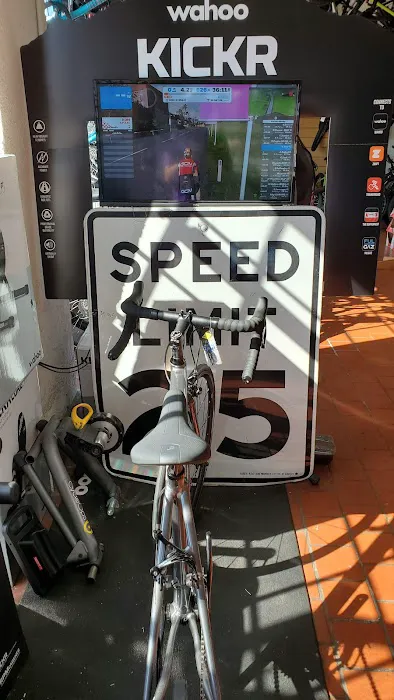 The Bike Palace Picture 7
