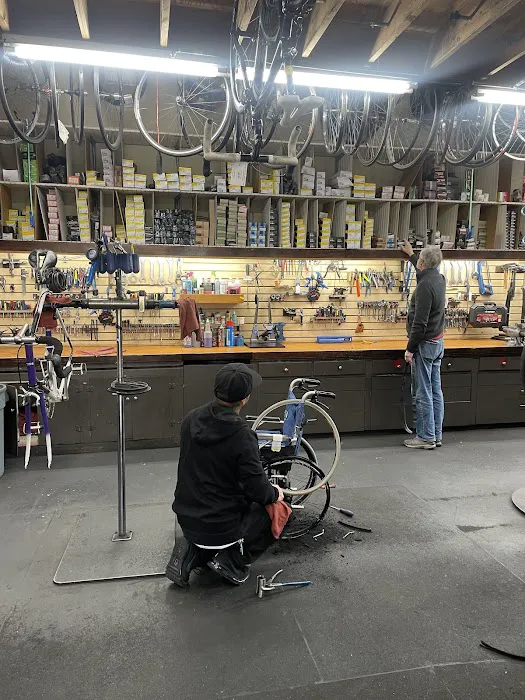The Bike Palace Picture 6