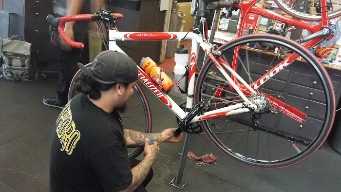 The Bike Palace Picture 4