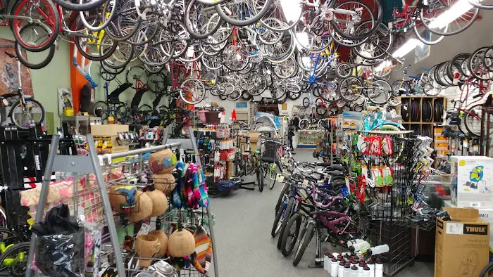 Richard's Cyclery Picture 6