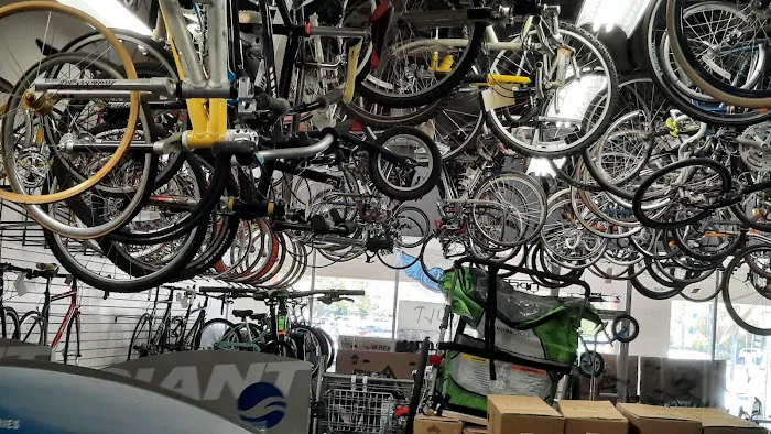 Richard's Cyclery Picture 9