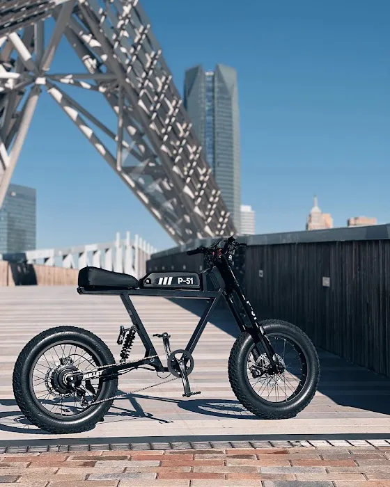P-51 Electric Bike Company Picture 10