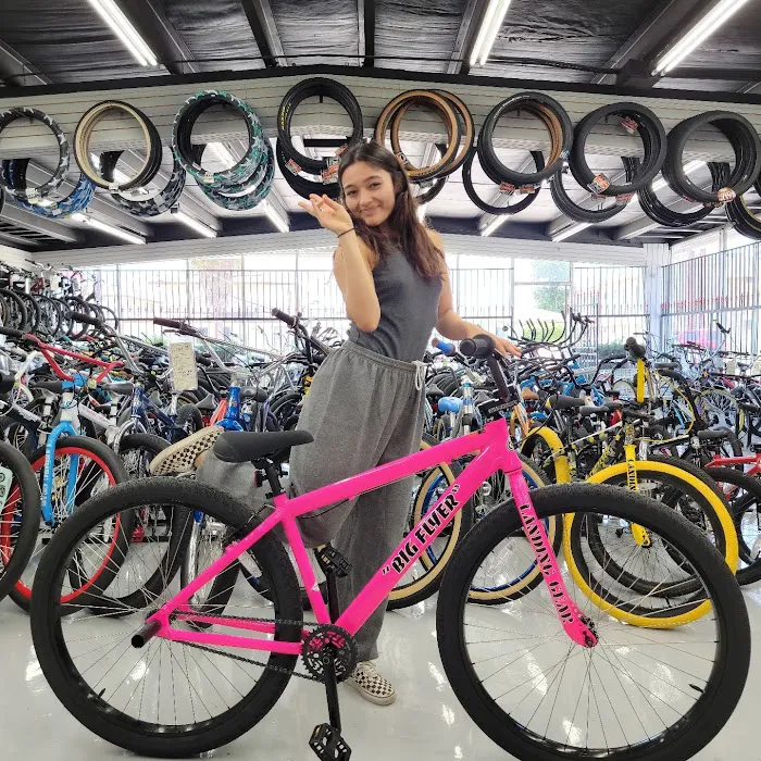 Bellflower Bicycles Picture 6