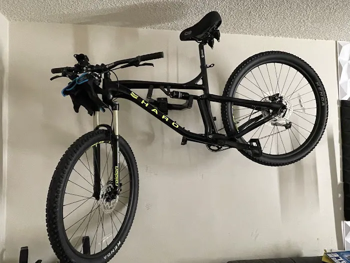 Bellflower Bicycles Picture 4