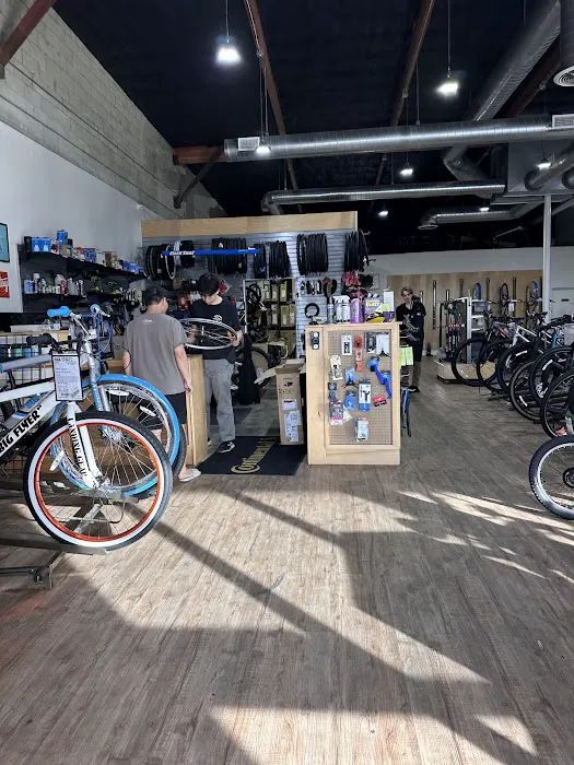 Main Street Cyclery Picture 8