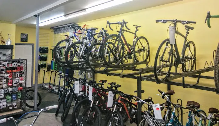 Papa Wheelie Bicycles & Electric Bikes Picture 9