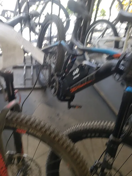 Papa Wheelie Bicycles & Electric Bikes Picture 7