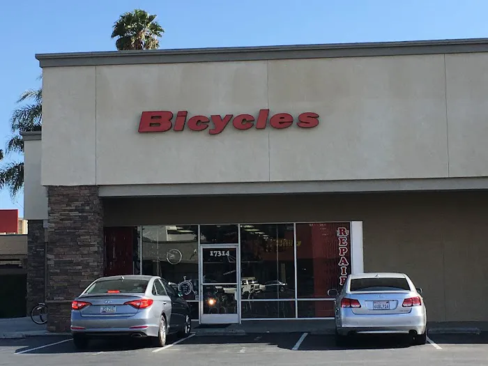 Big Wheel Bicycles Picture 4