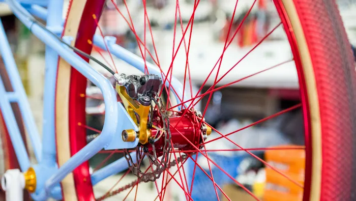 Big Wheel Bicycles Picture 9