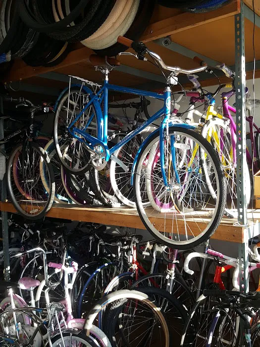 JB Bike Shop Picture 5