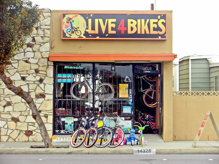 Live 4 Bikes Picture 2