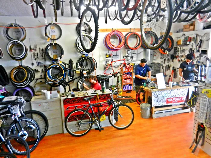 Live 4 Bikes Picture 1