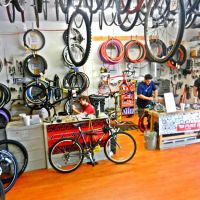 Live 4 Bikes ico