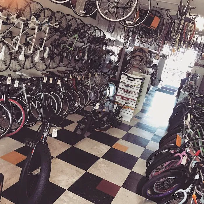 Live 4 Bikes Picture 6