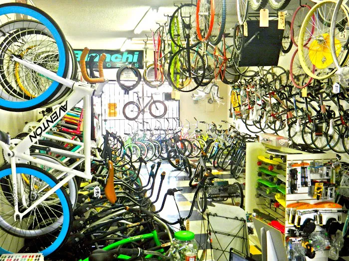 Live 4 Bikes Picture 9