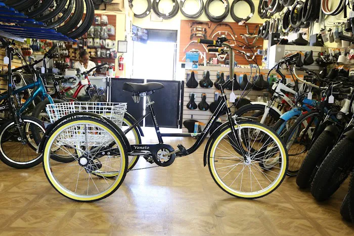 Live 4 Bikes Picture 4